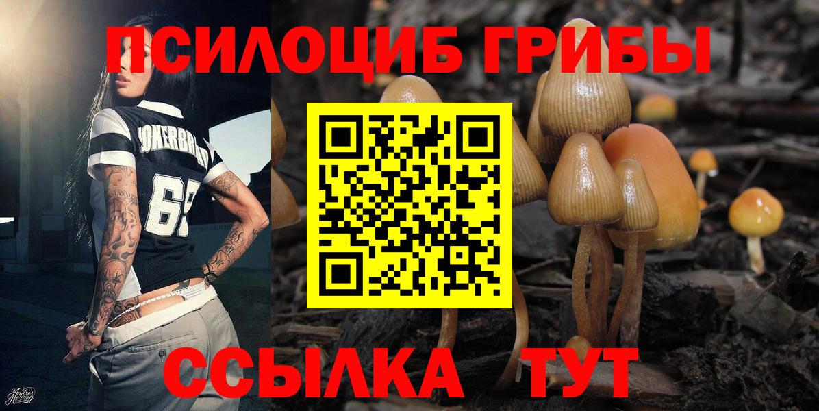Галлюциногенные грибы Cubensis  Вход с VPN  Кудымкар 