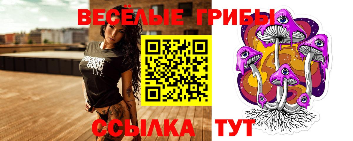 Псилоцибиновые грибы GOLDEN TEACHER Кудымкар